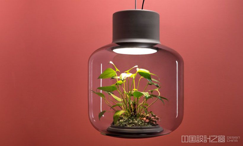 Mygdal Plantlight By Nui Studio