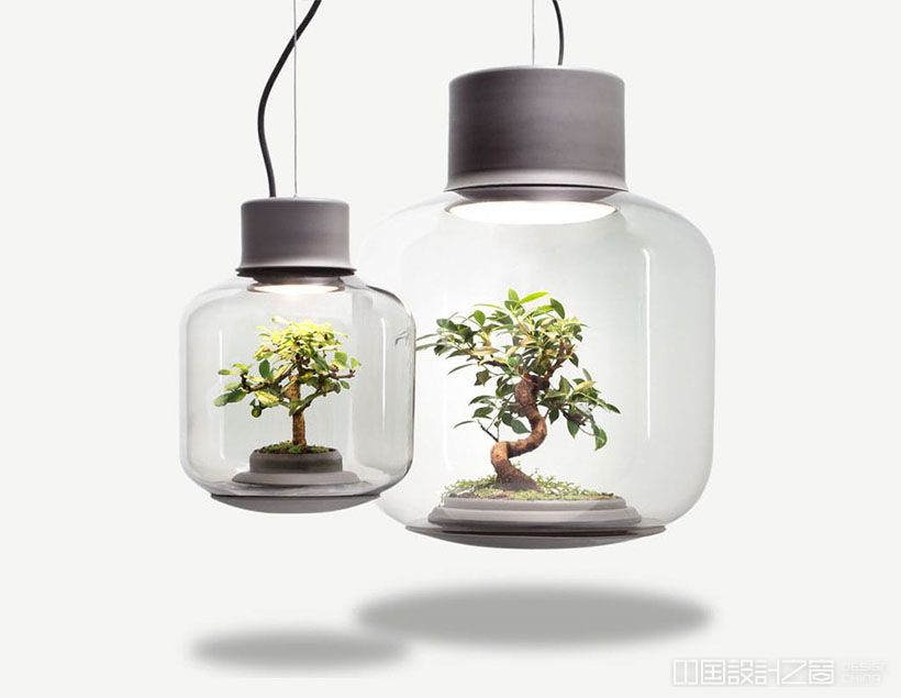 Mygdal Plantlight By Nui Studio