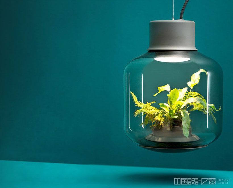 Mygdal Plantlight By Nui Studio