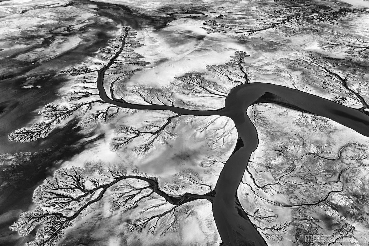 Enviro<em></em>nmental Photography by Paul Nicklen