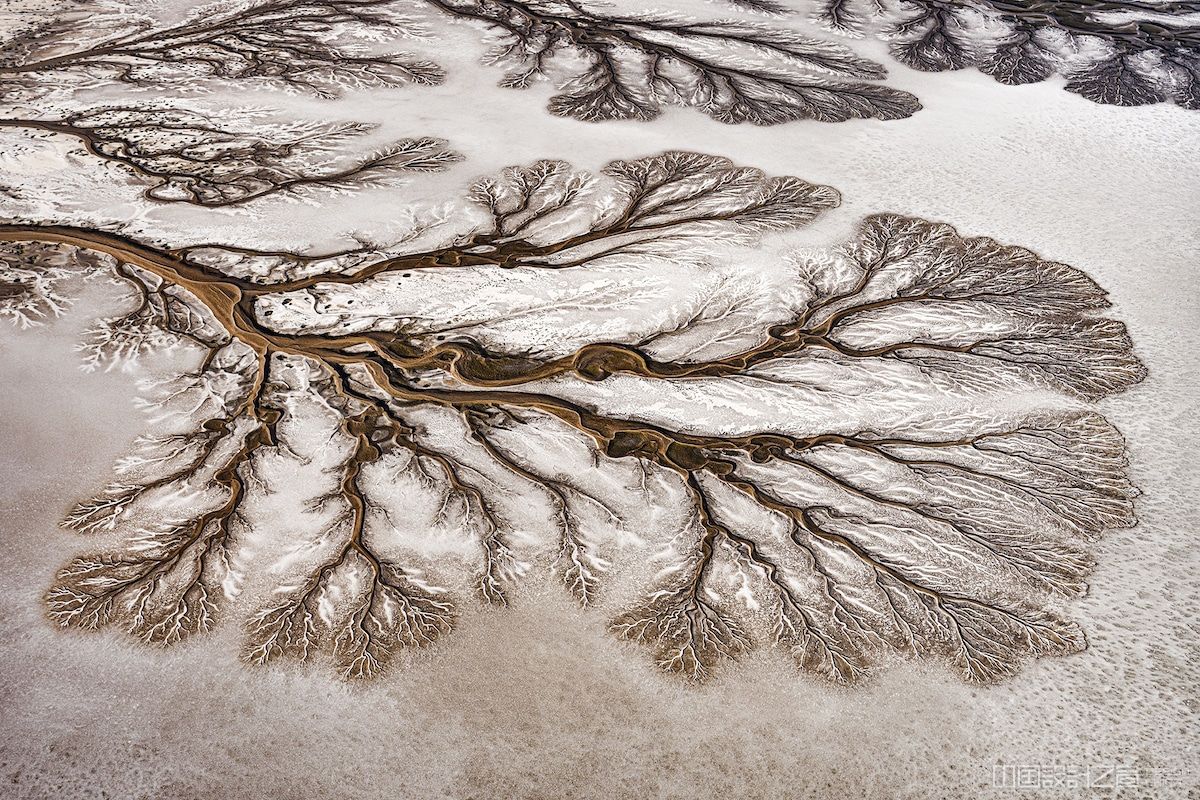 Delta by Paul Nicklen