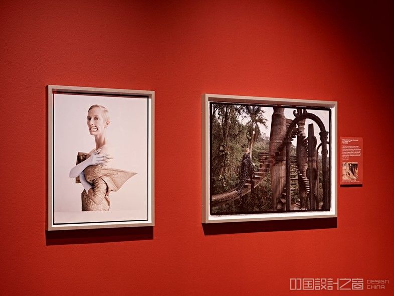 Tim Walker (2013) in the Objects of Desire exhibition