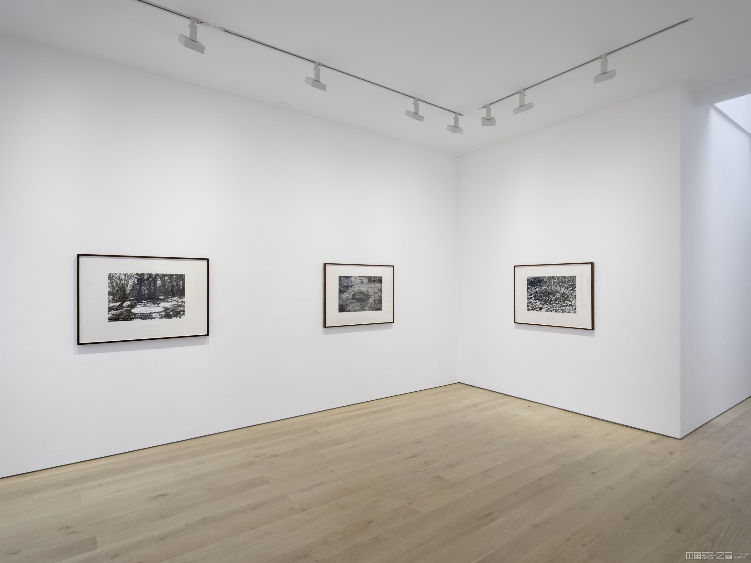 Richard Long: Drinking the rivers of Dartmoor artwork