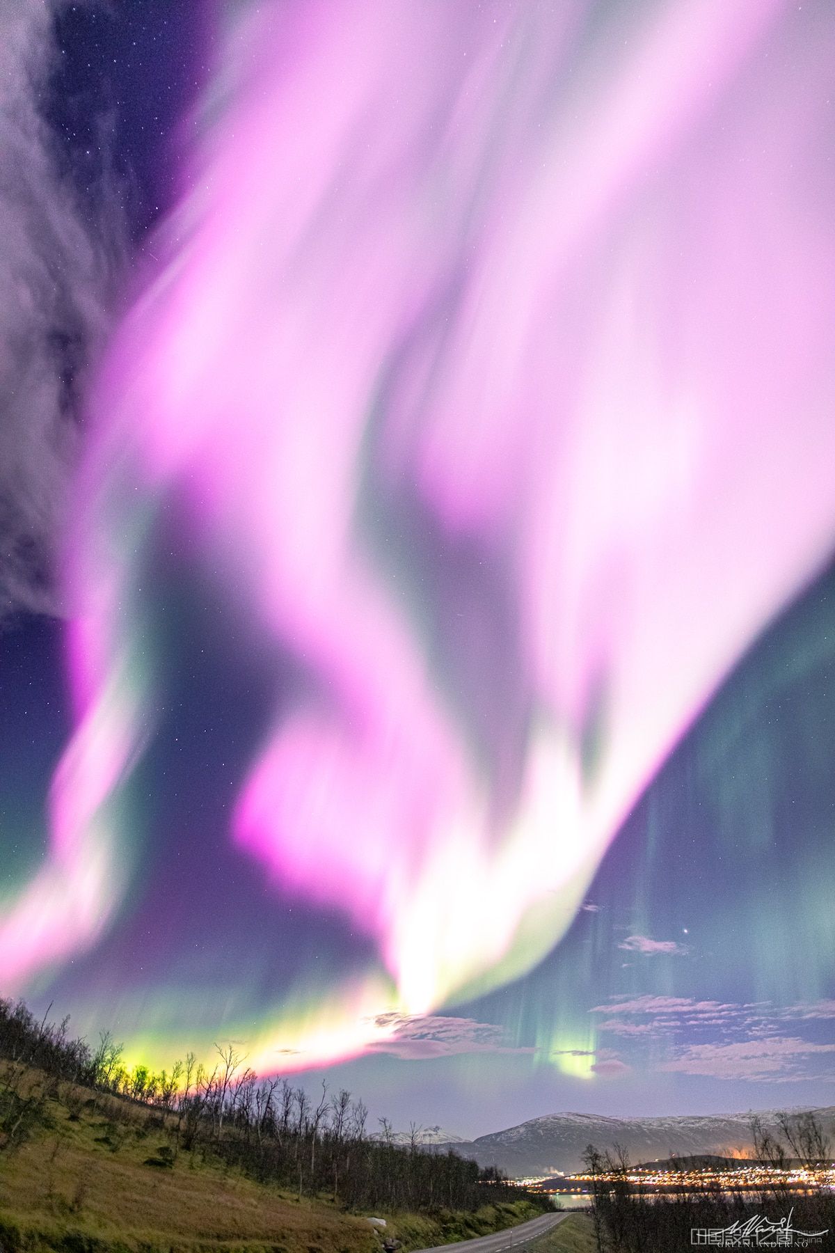 Pink Northern Lights in Tromso, Norway