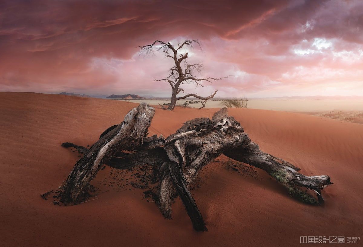 Fallen Decaying Tree in Red Landscape