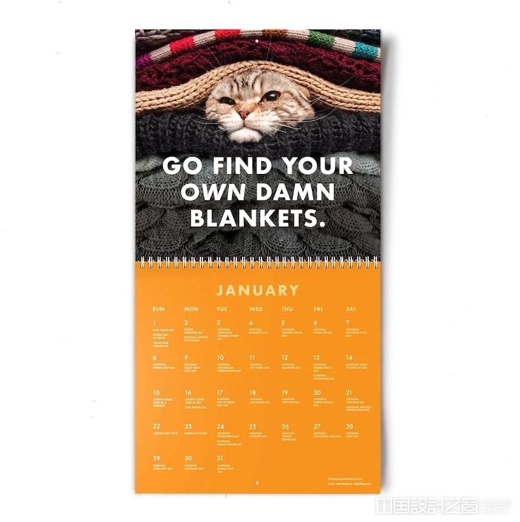 Funny Cat Calendar 2023