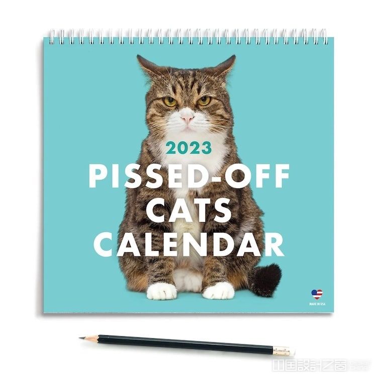 Funny Cat Calendar 2023