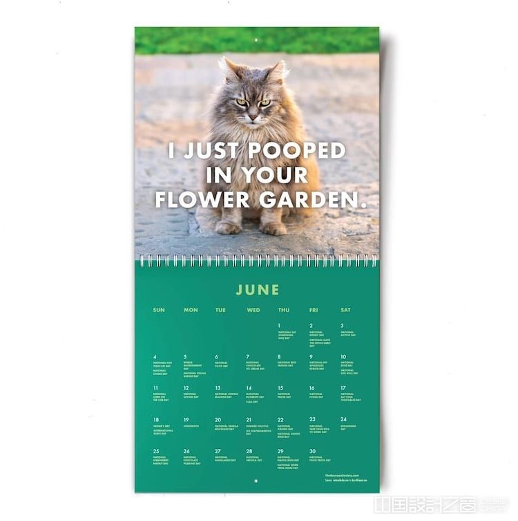 Funny Cat Calendar 2023