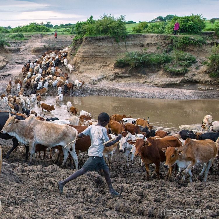 Maasai herdsmen in Maasai Mara Reserve, Kenya