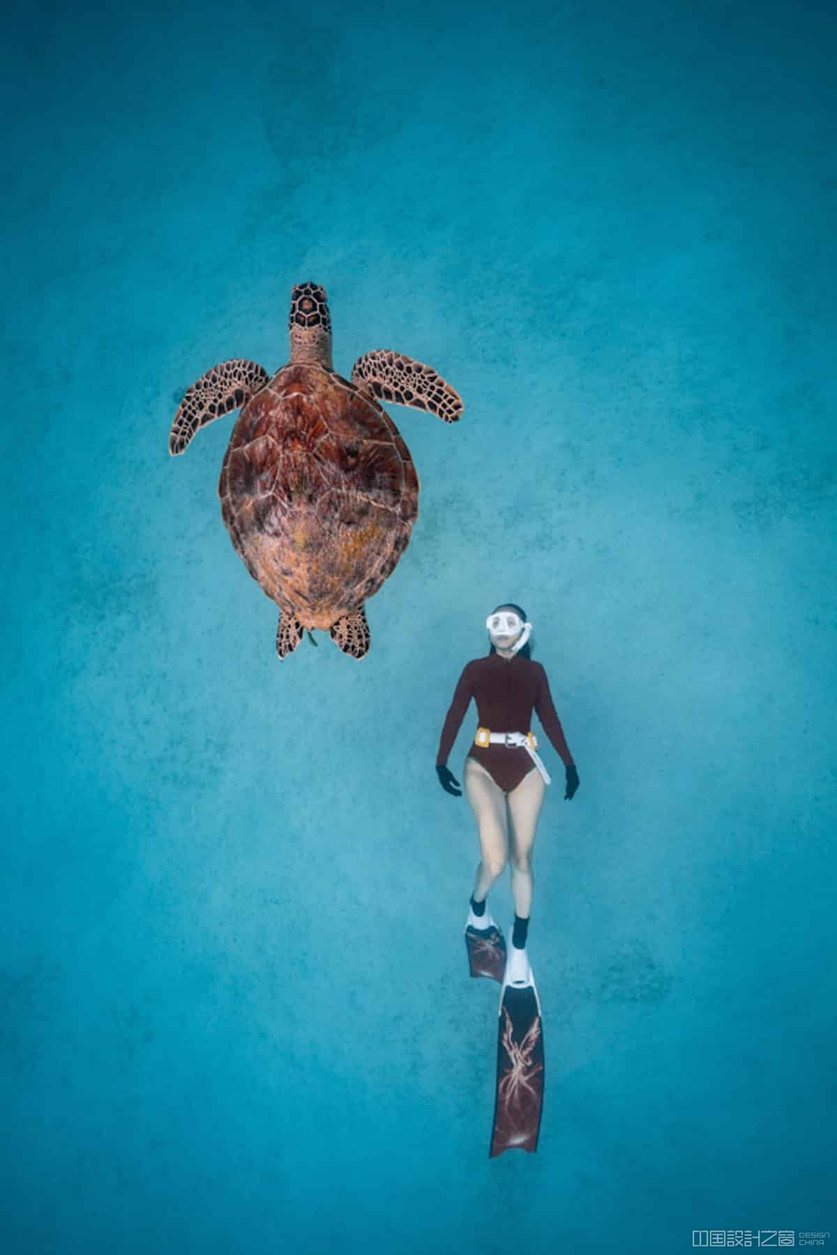 Woman Diving Alo<em></em>ngside Sea Turtle