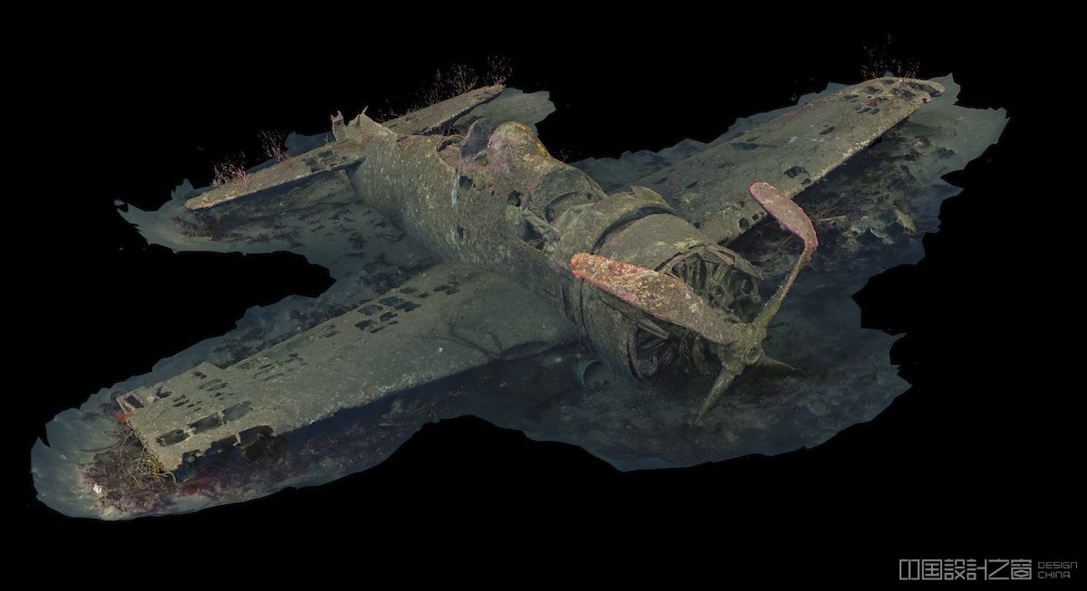 single-engine WW II airplane Wreck