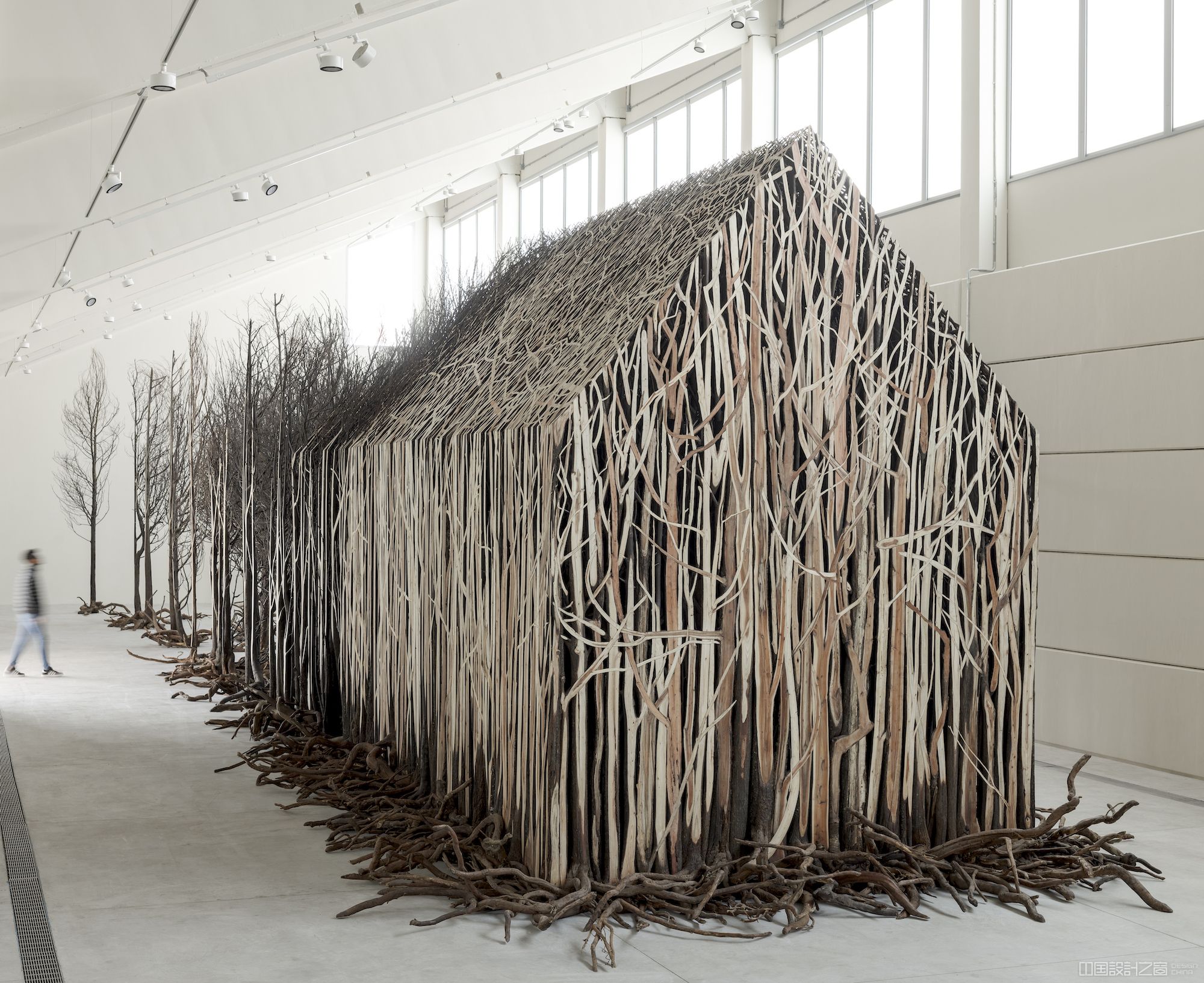 A large-scale installation made from over 800 dead trees that have been shaped into a house-like form on one end that opens up gradually into a more natural looking thicket on the other end.