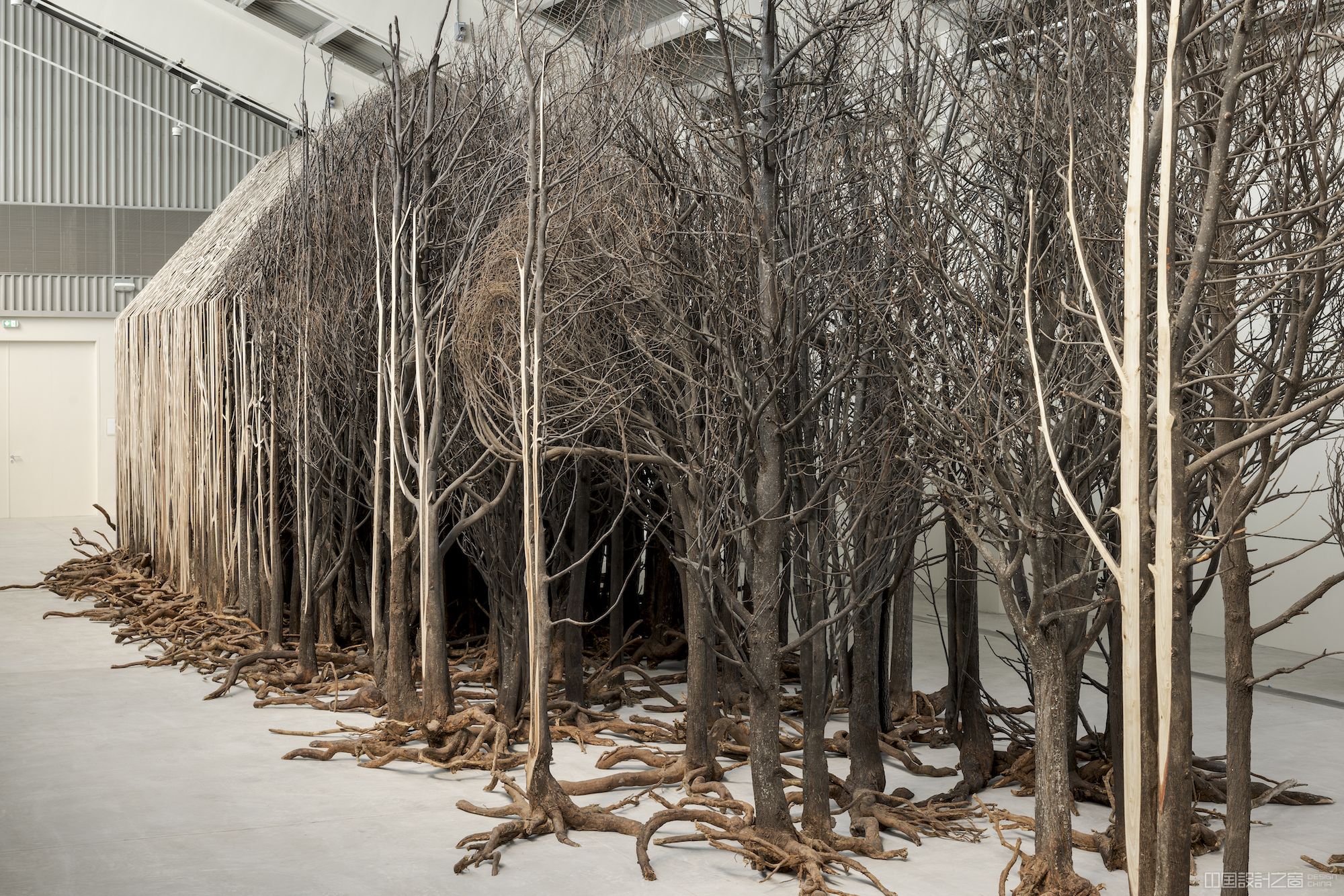 A large-scale installation made from over 800 dead trees that have been shaped into a house-like form on one end that opens up gradually into a more natural looking thicket on the other end.