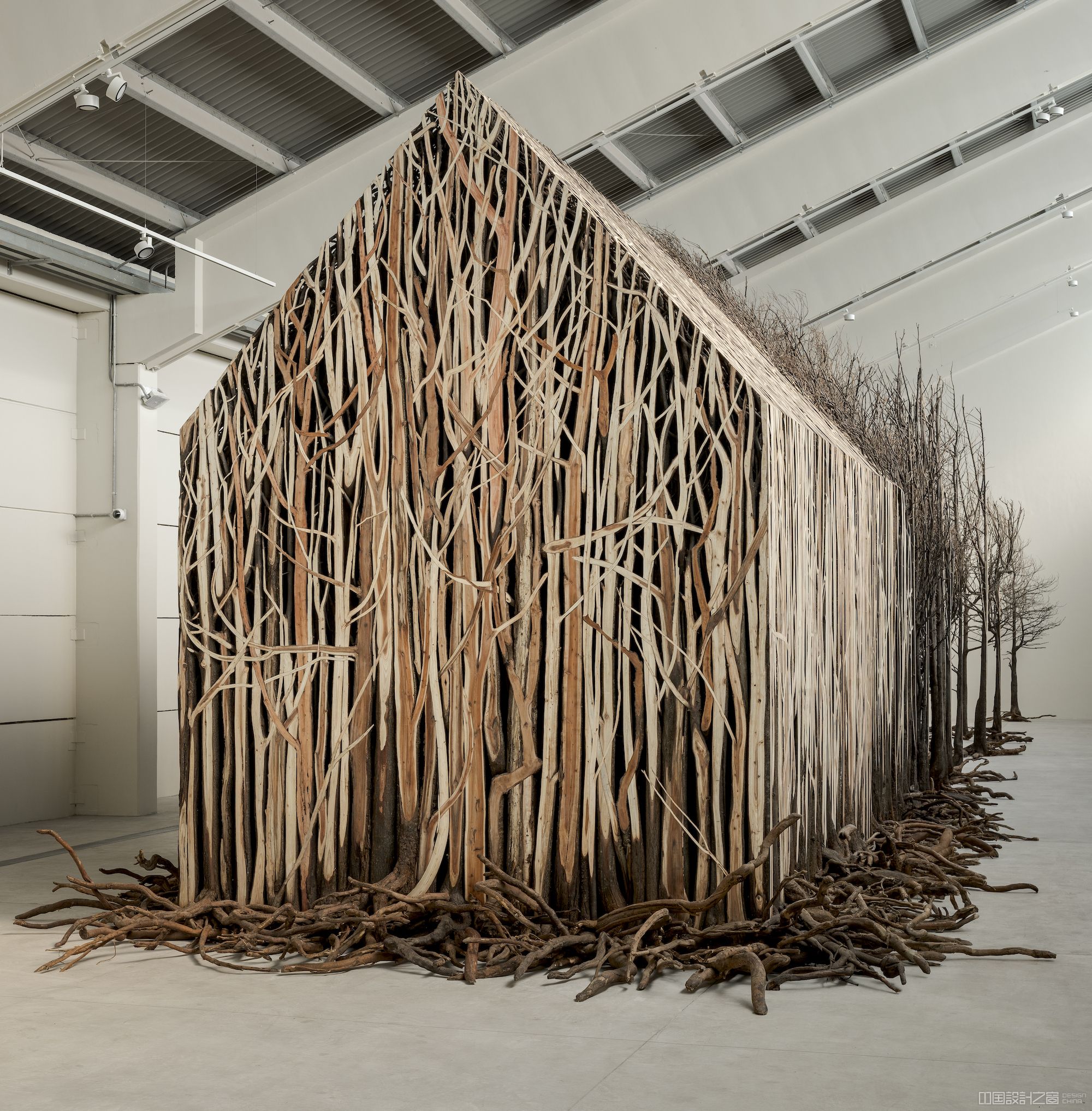 A large-scale installation made from over 800 dead trees that have been shaped into a house-like form on one end that opens up gradually into a more natural looking thicket on the other end.