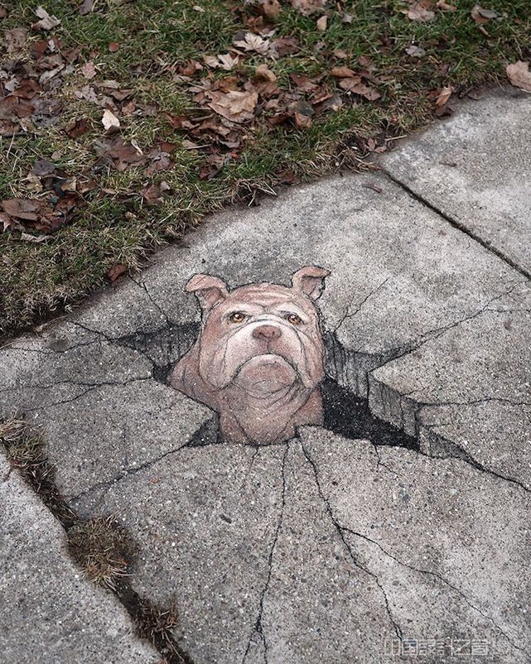 Chalk Art by David Zinn