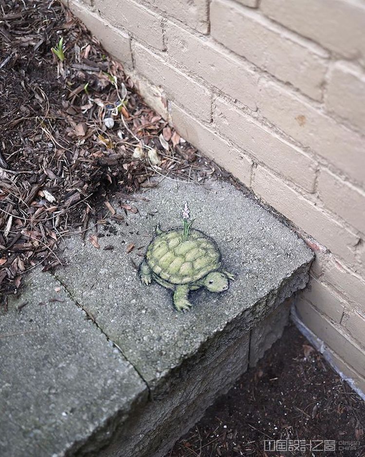 Chalk Art by David Zinn