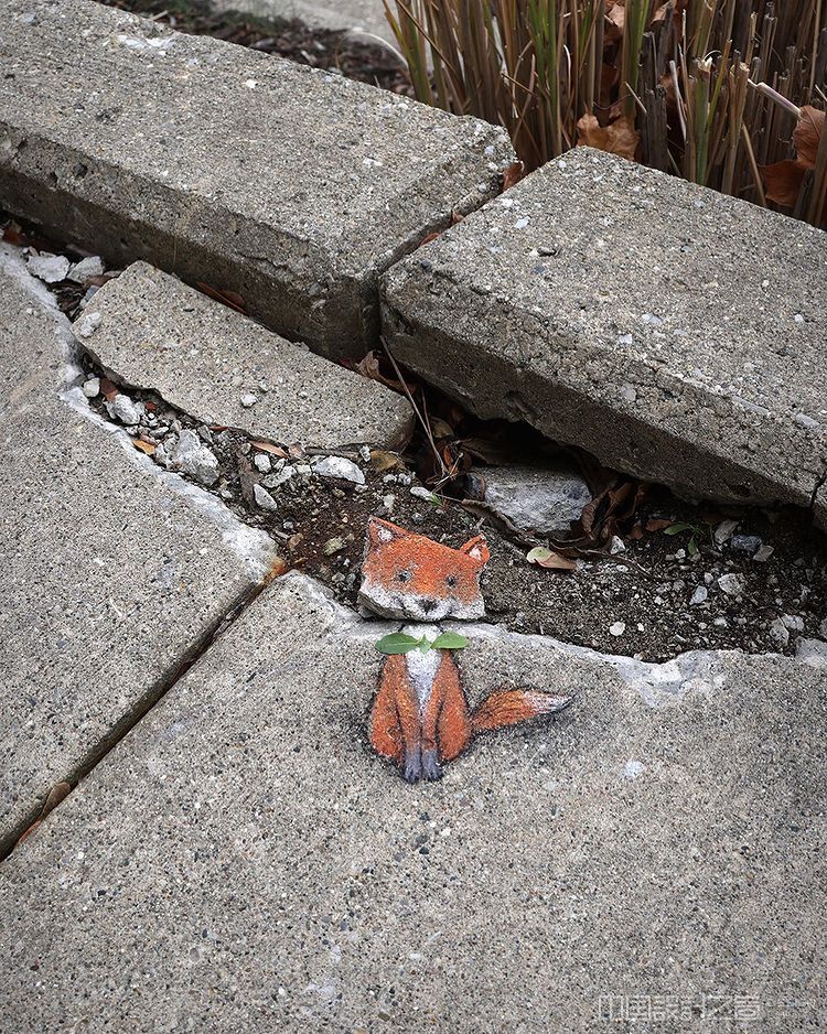 Chalk Art by David Zinn