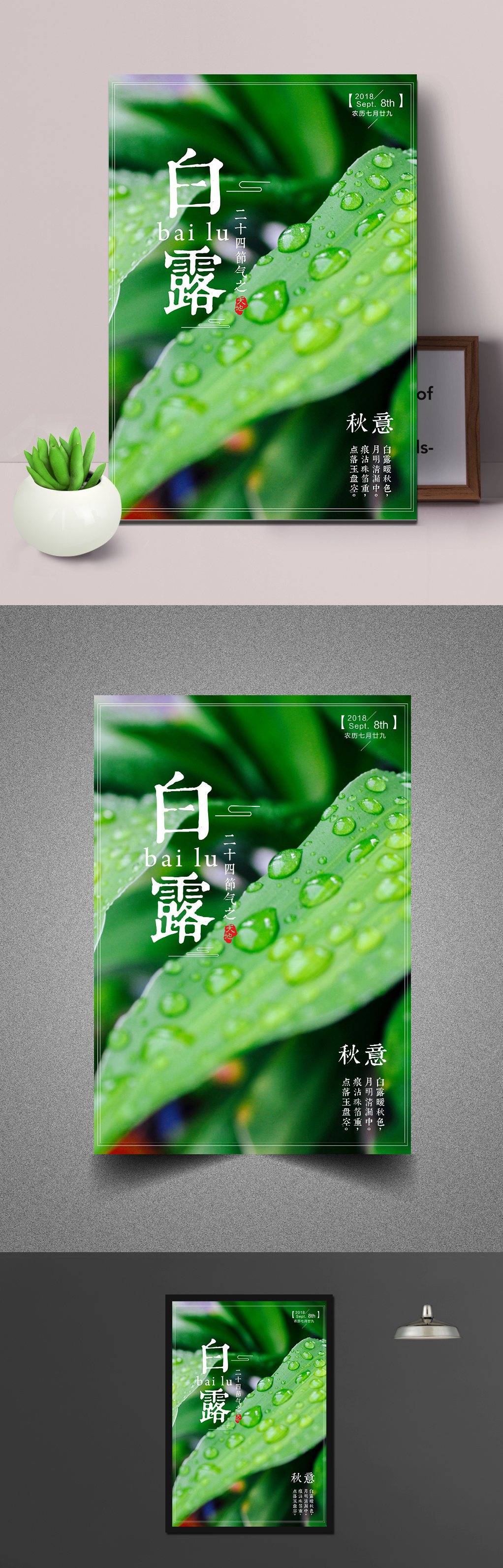 绿色植物水滴白露节气海报