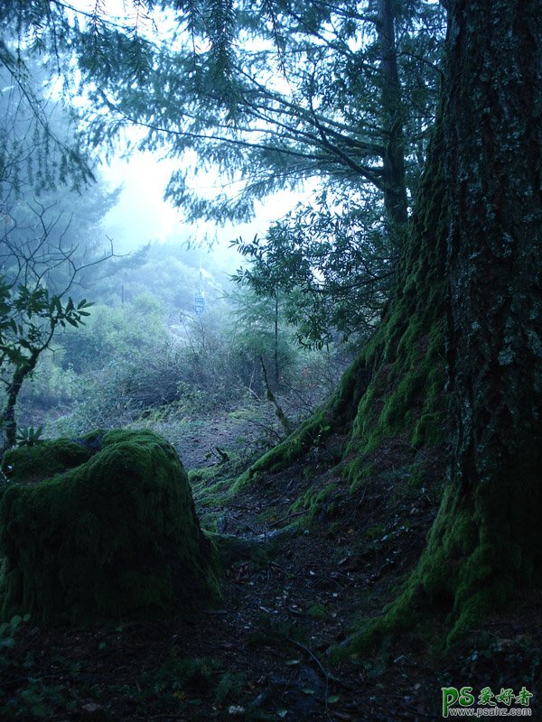 PS魔幻场景合成教程:打造森林深处童话世界里奇幻的精灵场景特效