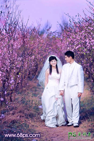 photoshop给春日桃花林里的情侣婚片调出艳丽的桃红色