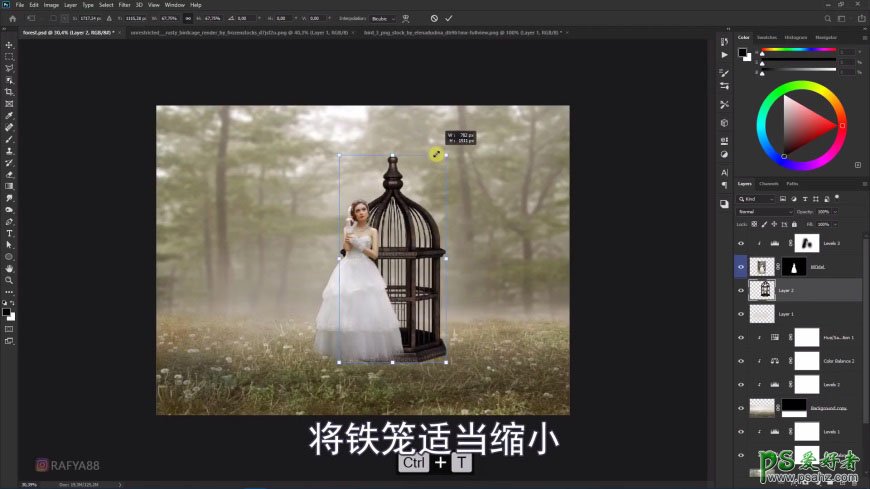 Photoshop创意合成森系婚纱照美女与巨型鸟笼在森林中的秘境场景