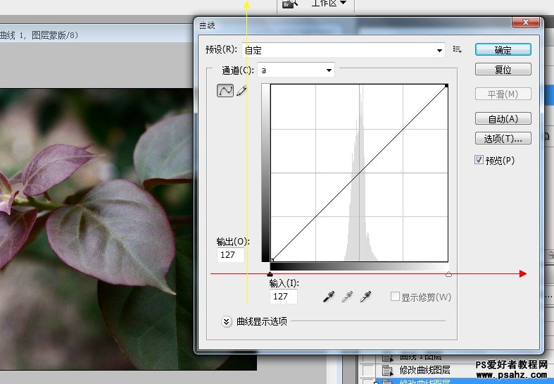 PS调色教程：在LAB模式下给灰度的花卉图片调出通透艳丽效果