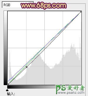 PS调色教程：给树林中的情侣婚片增加柔美的黄紫色