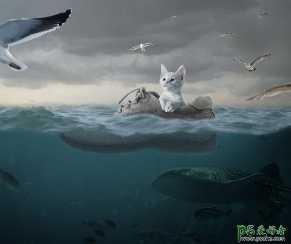 ps创意合成教程：制作在大海上坐着皮鞋漂流的小猫，可爱小猫咪