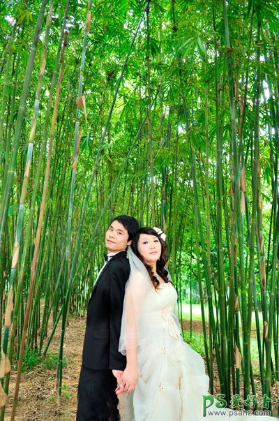 photoshop调出蓝紫色竹林里的情侣婚片