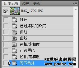 PS照片调色教程：给花朵图片调出清新淡雅的日系风格