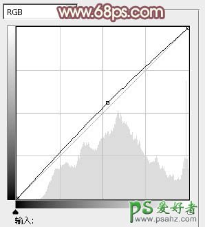 PS调色教程：给树林里的唯美少女调出甜美的淡调红褐色