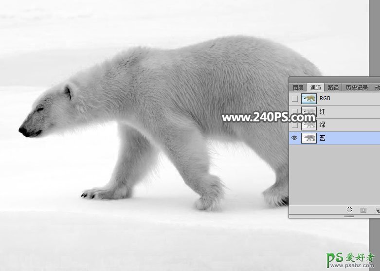 新手PS通道抠图技巧教程：快速给北极熊素材图片进行抠图换背景。
