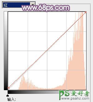 PS调色教程：给性感美少女艺术照调出日系流行的淡黄色