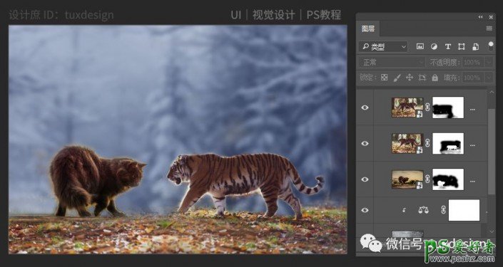 PS梦幻合成实例：创意打造一幅猫虎大战一触即发的场面。