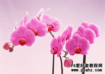 photoshop设计漂亮的花纹浮雕字效果实例教程