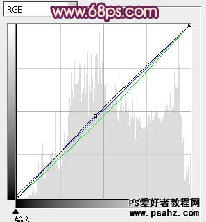 PS美女图片调色教程：给外景美女照调出时尚的暗调黄紫色