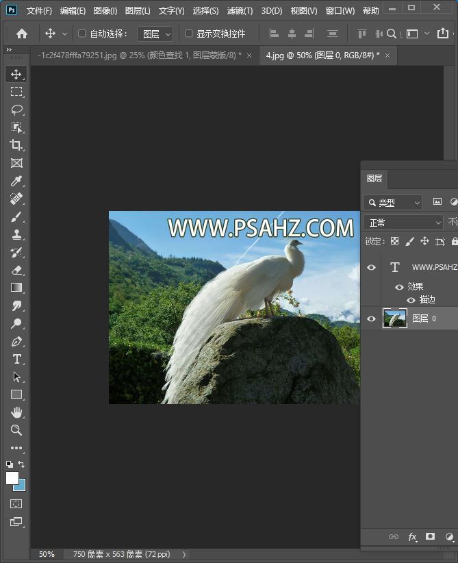 PS照片处理技巧教程：通过合成处理把横版的图像做成竖版的构图。