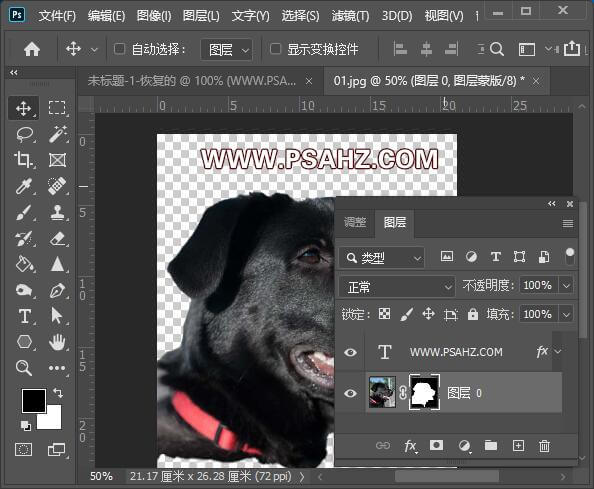 PS换脸教程：利用溶图技术给大猩猩图片换上可爱的狗狗头像。