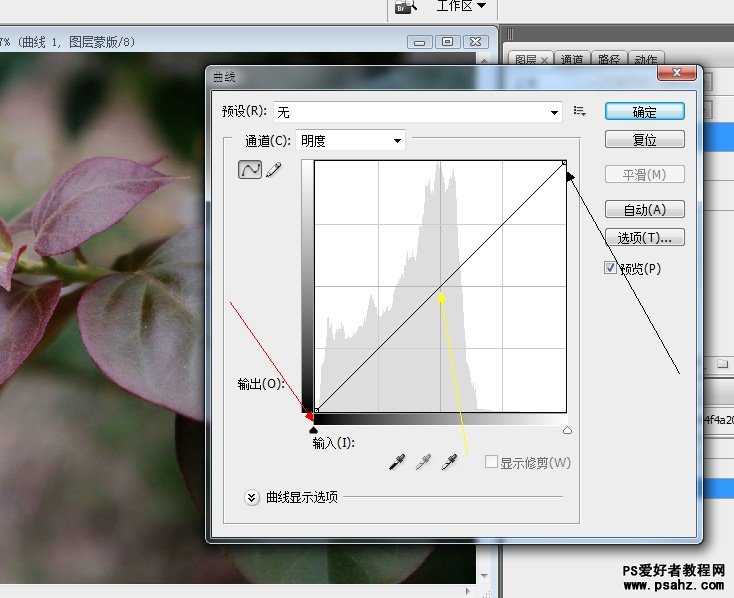 PS调色教程：在LAB模式下给灰度的花卉图片调出通透艳丽效果