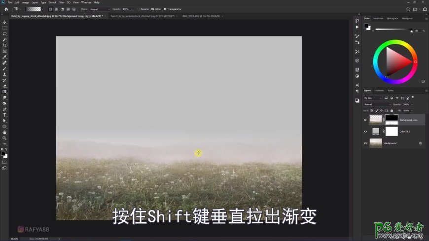 Photoshop创意合成森系婚纱照美女与巨型鸟笼在森林中的秘境场景