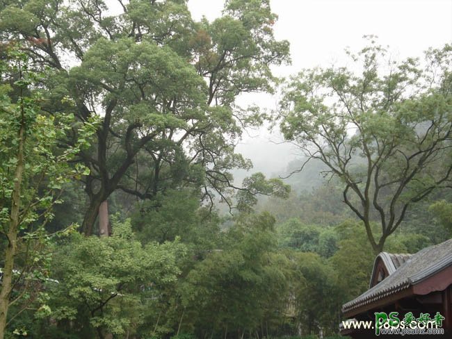 PS后期调色教程：调出风景照模拟森林的日出效果