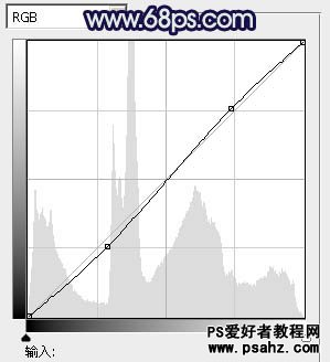 PS调色教程：给漂亮的车模美女调出淡黄色质感肤色