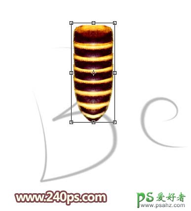 PS可爱字体制作教程：打造漂亮的蜜蜂纹路立体字，胖胖的蜜蜂文字