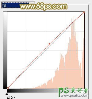 PS调色教程：给树林中的少女艺术照调出朦胧的淡黄色