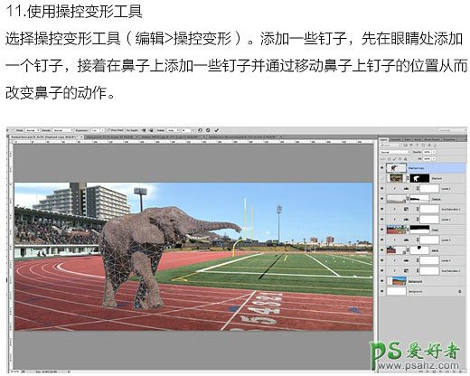 PS图片合成教程：创意合成一幅有意思的动物比赛长跑的场景