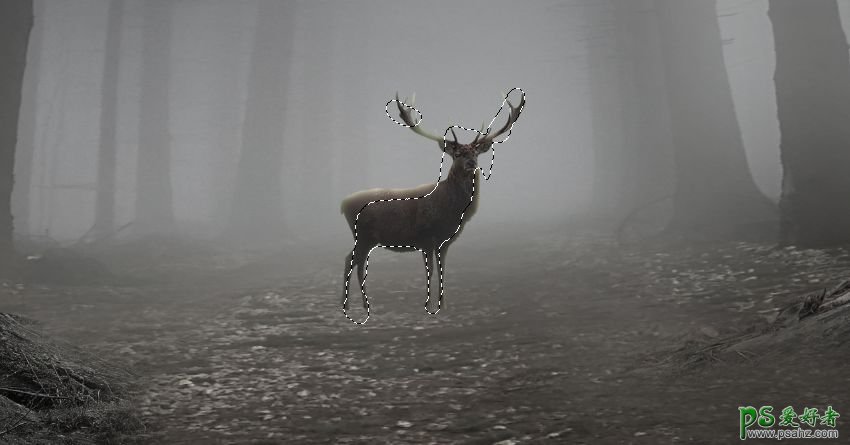 PS梦幻动物场景合成实例：打造深夜月光下迷雾森林中行走的鹿王。