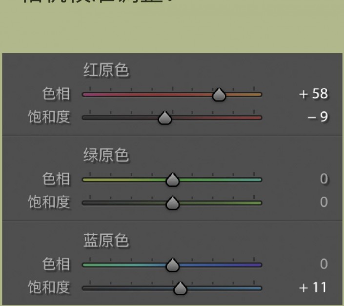 PS摄影后期调色教程：学习给花卉摄影照片调出莫奈温柔系色调。