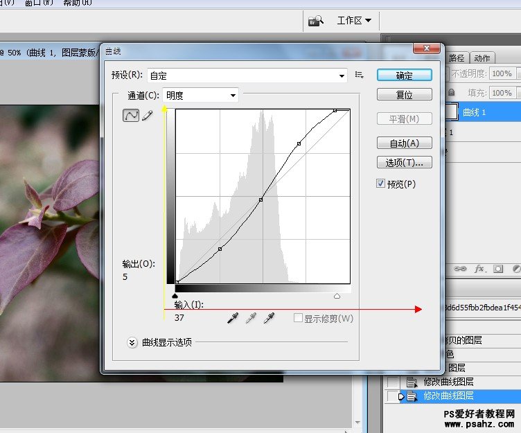 PS调色教程：在LAB模式下给灰度的花卉图片调出通透艳丽效果