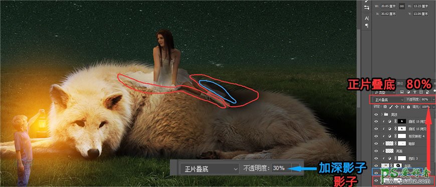 Photoshop创意合成草原上美女与狼和平共处的场景，美女和白狼