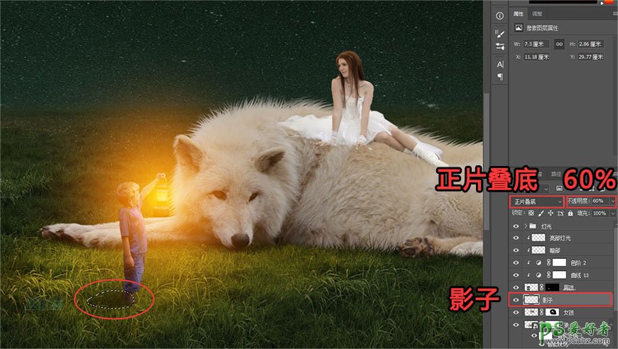 Photoshop创意合成草原上美女与狼和平共处的场景，美女和白狼